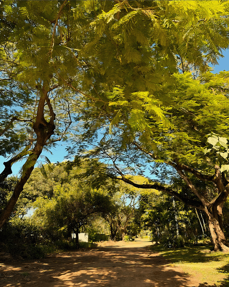 Suíte Estúdio Lua