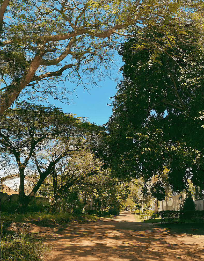 Suíte Estúdio Lua