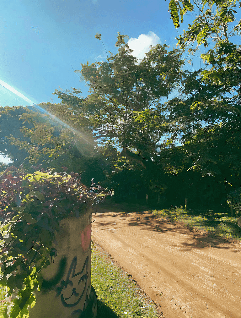 Suíte Estúdio Lua