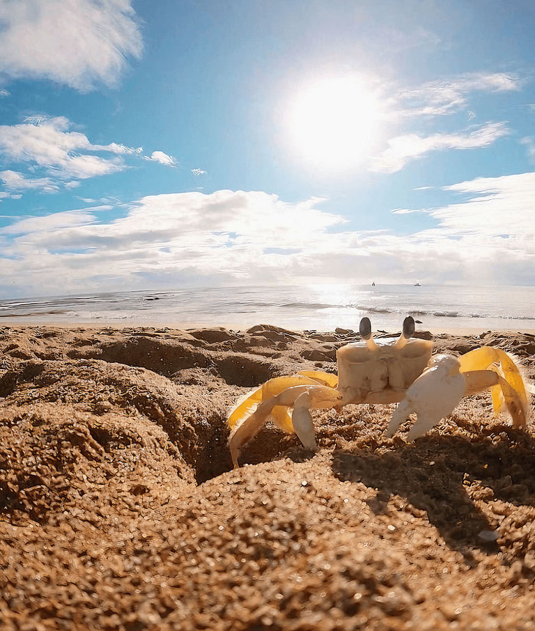 Suíte Estúdio Praia