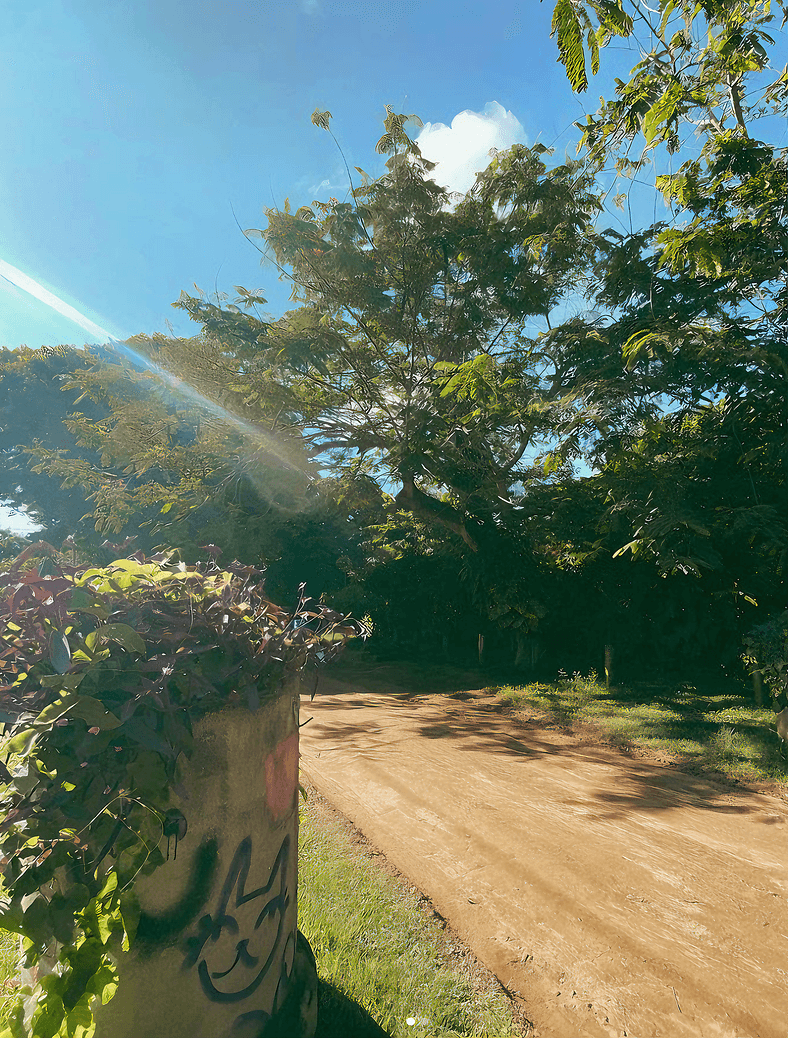 Suíte Estúdio Praia