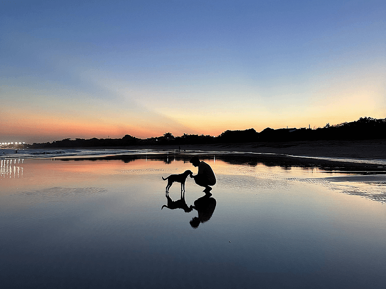 Suíte Estúdio Praia