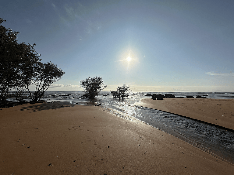 Suíte Estúdio Praia